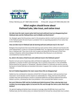 What's the Deal with Flathead Lake and Lake Trout