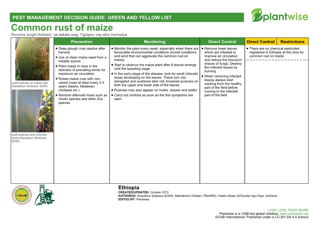 Common Rust of Maize Puccinia Sorghi Amharic: Ye Bekelo Wag; Tigrigna: Nay Efun Humodya Prevention Monitoring Direct Control Direct Control Restrictions