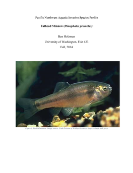 Pacific Northwest Aquatic Invasive Species Profile Fathead Minnow