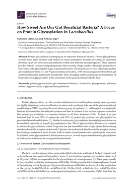 A Focus on Protein Glycosylation in Lactobacillus