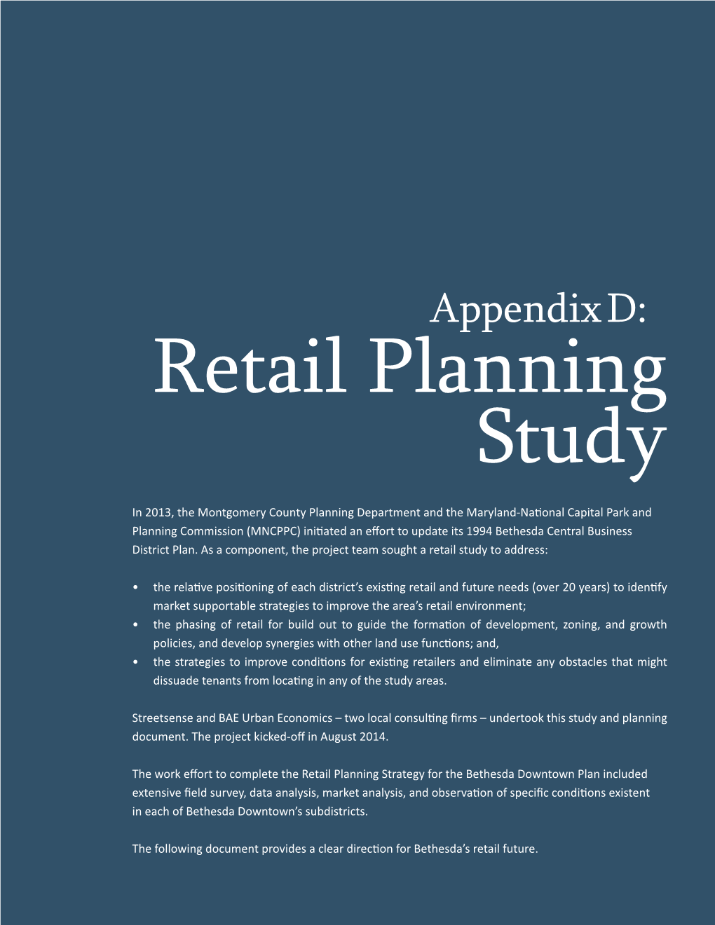 Appendix D: Retail Planning Study