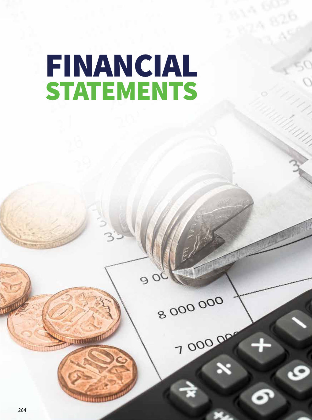 Financial Statements