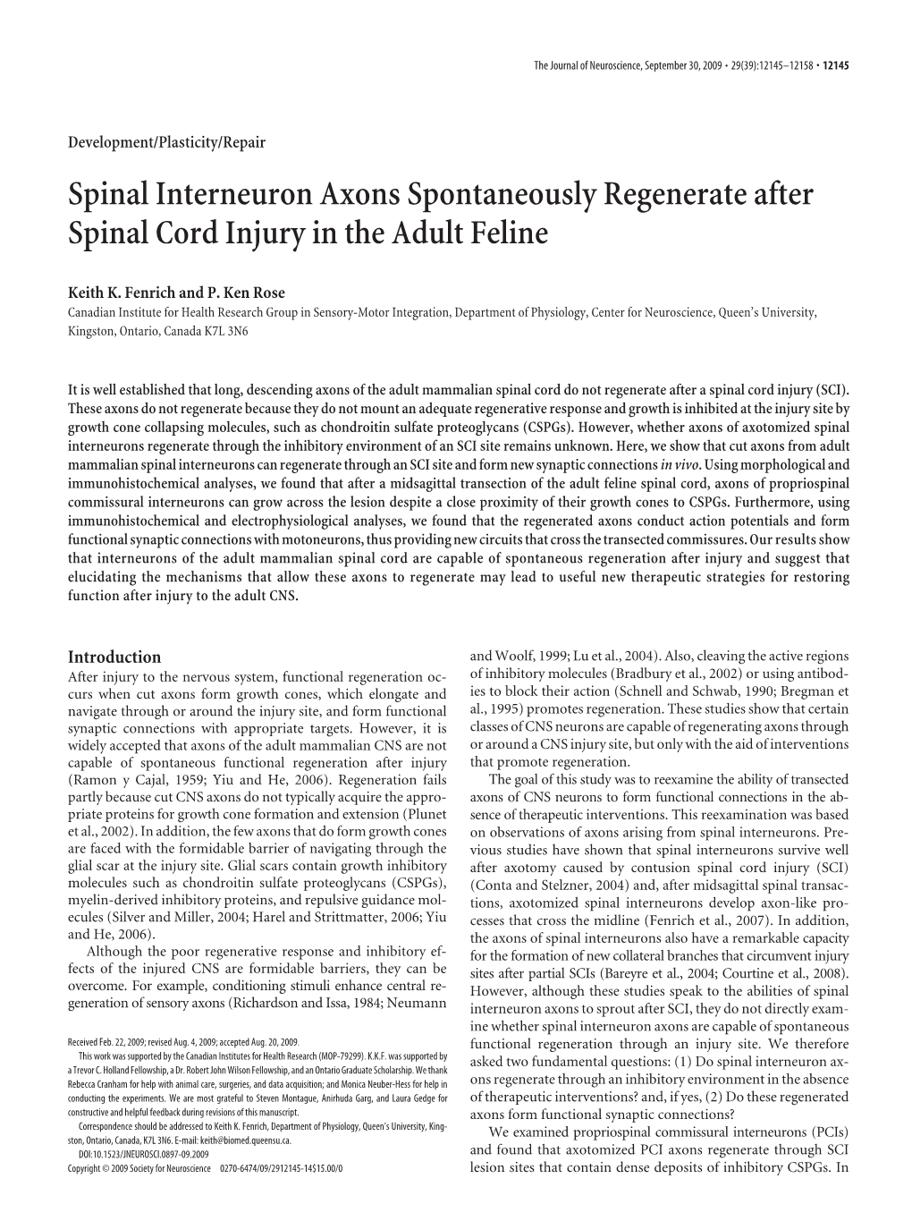 Spinal Interneuron Axons Spontaneously Regenerate After Spinal Cord Injury in the Adult Feline