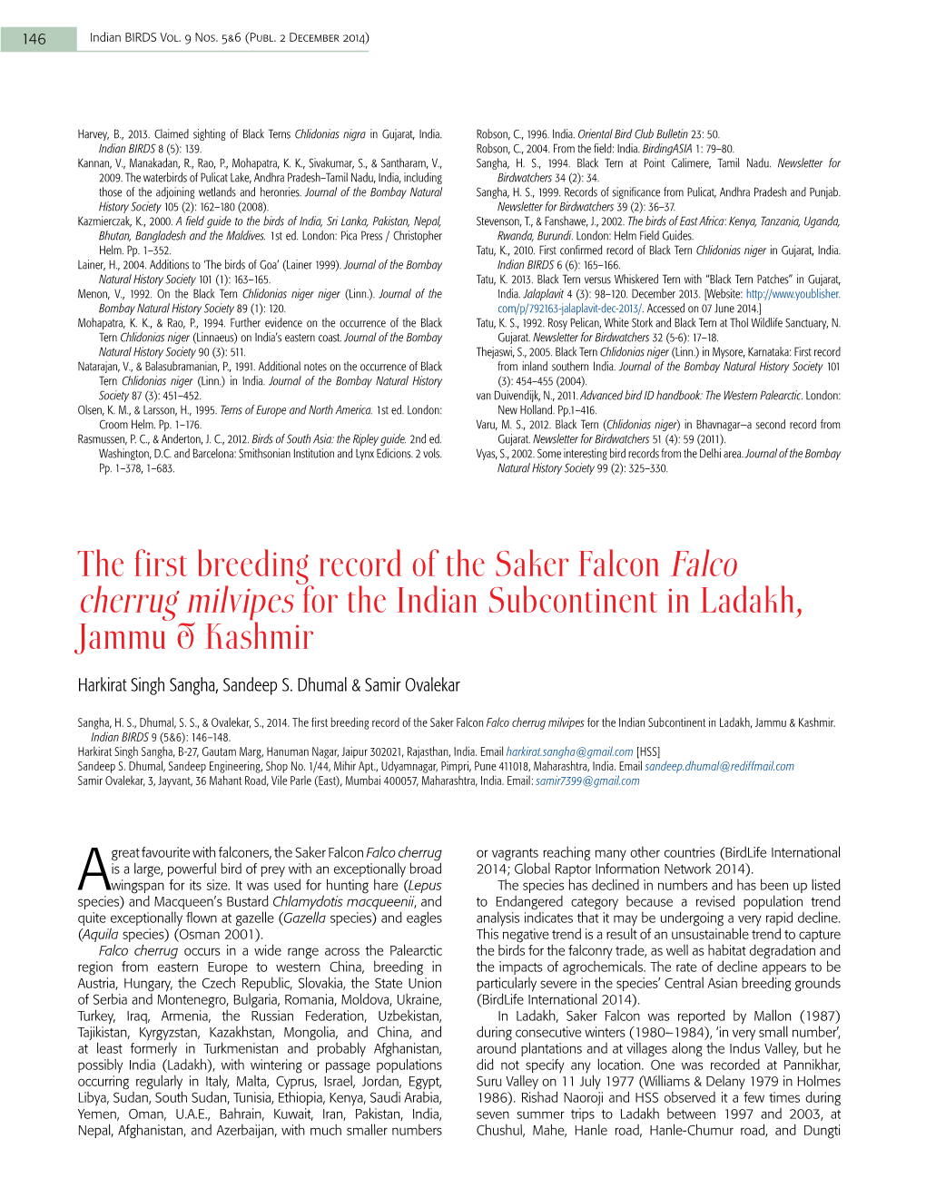 The First Breeding Record of the Saker Falcon Falco Cherrug Milvipes for the Indian Subcontinent in Ladakh, Jammu & Kashmir