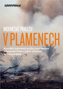 Indonéské Pralesy: V Plamenech Obsah Destrukce V Cˇíslech Zamerenoˇˇˇˇˇˇ Na Indonéský Zemedelský Sektor – Udrzitelnost Ted Nebo Nikdy 2