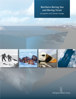 Northern Bering Sea: Ecosystem and Climate Change