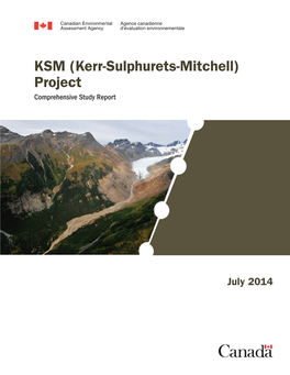 KSM (Kerr-Sulphurets-Mitchell) Project Comprehensive Study Report