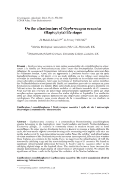 On the Ultrastructure of Gephyrocapsa Oceanica (Haptophyta) Life Stages