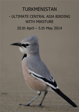 TURKMENISTAN - ULTIMATE CENTRAL ASIA BIRDING with MIKSTURE 20.Th April – 5.Th May 2014