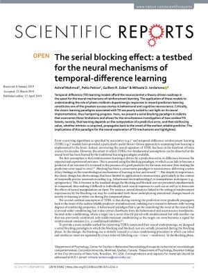 The Serial Blocking Effect: a Testbed for the Neural Mechanisms of Temporal
