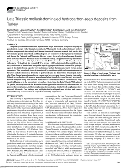 Late Triassic Mollusk-Dominated Hydrocarbon-Seep Deposits from Turkey