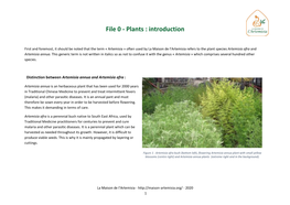 File 0 Artemisia Annua in the Cultivation & Processing Manual