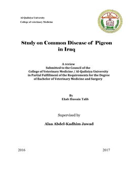 Study on Common Disease of Pigeon in Iraq