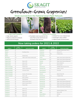 Greenhouse-Grown Grapevines Stock Sourced from the National Clean Plant Network