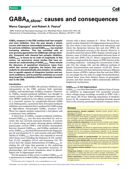 GABAA,Slow: Causes and Consequences Marco Capogna1 and Robert A