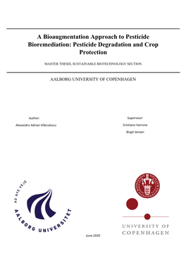 Pesticide Degradation and Crop Protection
