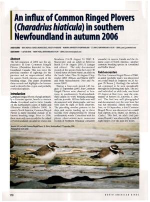 An Influx of Common Ringed Plovers (&lt;I&gt;Charadrius Hiaticula&lt;/I&gt;) in Southern Newfoundland in Autumn 2006