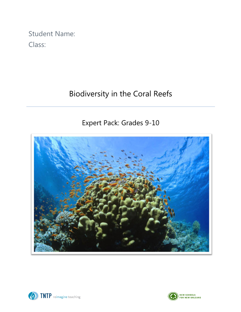 Biodiversity in the Coral Reefs