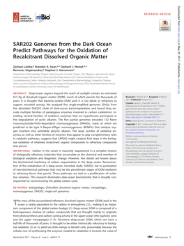 SAR202 Genomes from the Dark Ocean Predict Pathways for the Oxidation of Recalcitrant Dissolved Organic Matter