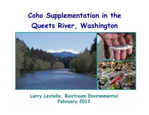 Coho Supplementation in the Queets River, Washington