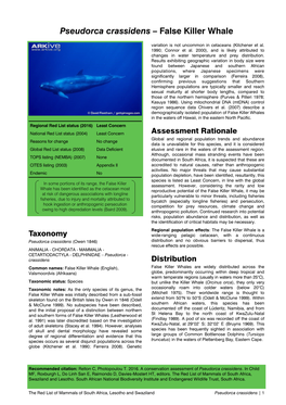 Pseudorca Crassidens – False Killer Whale