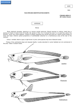 MOR 1983 FAO SPECIES IDENTIFICATION SHEETS FISHING AREA 51 (W. Indian Ocean) MORIDAE Moras Body Relatively Elongate, Tapering To