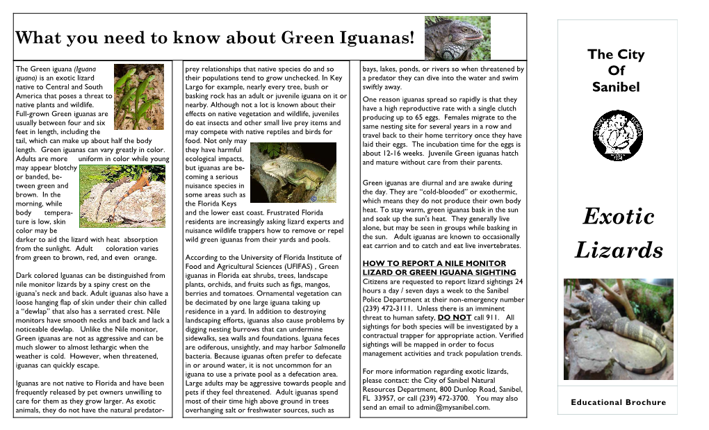 Nile Monitor & Iguana Lizard Educational Brochure