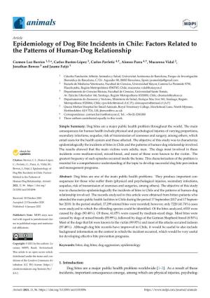 Epidemiology of Dog Bite Incidents in Chile: Factors Related to the Patterns of Human-Dog Relationship