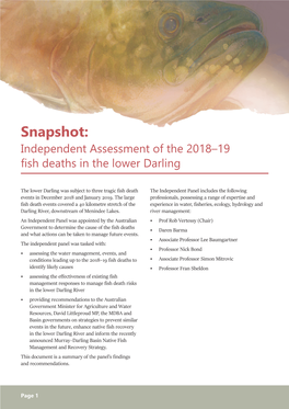 Snapshot: Independent Assessment of the 2018–19 Fish Deaths in the Lower Darling