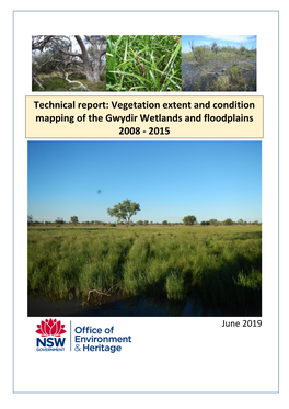 Vegetation Extent and Condition Mapping of the Gwydir Wetlands and Floodplains 2008 - 2015