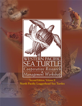 North Pacific Loggerhead Sea Turtles