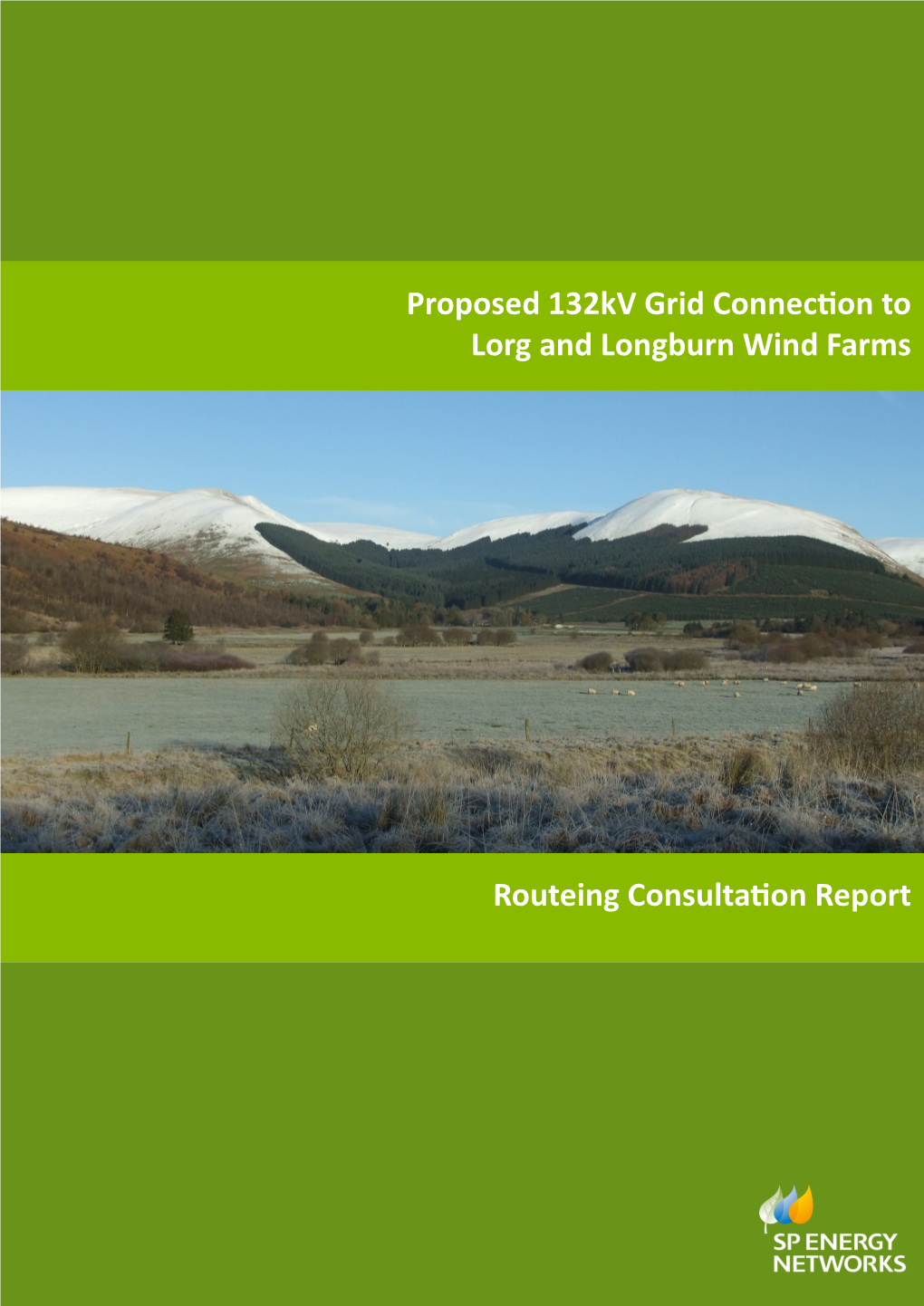 Lorg and Longburn Grid Connection Routeing Consultation Report