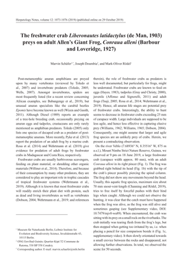 The Freshwater Crab Liberonautes Latidactylus (De Man, 1903) Preys on Adult Allen’S Giant Frog, Conraua Alleni (Barbour and Loveridge, 1927)