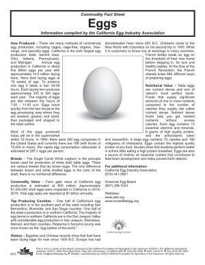 Eggs Fact and Activity Sheet