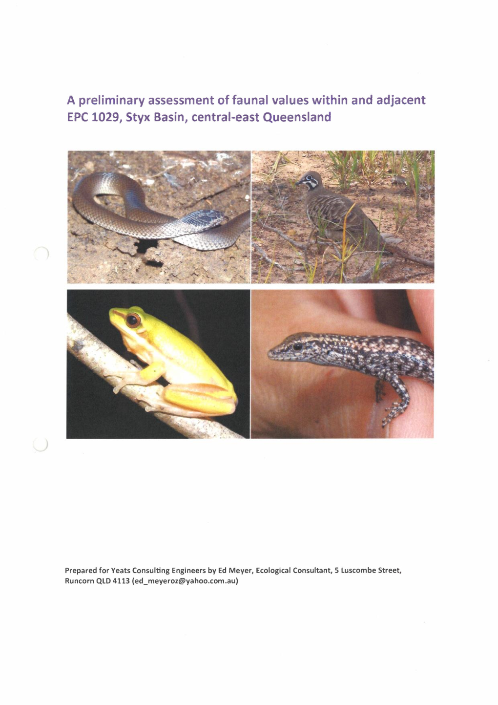 A Preliminary Assessment of Faunal Values Within and Adjacent EPC 1029, Styx Basin, Central-East Queensland