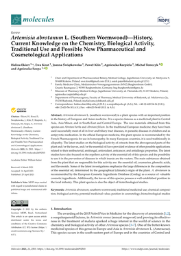 Artemisia Abrotanum L. (Southern Wormwood)—History