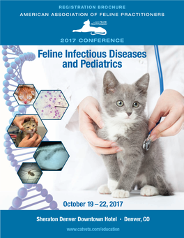 Feline Infectious Diseases and Pediatrics