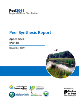Peel Synthesis Report Appendices (Part B)