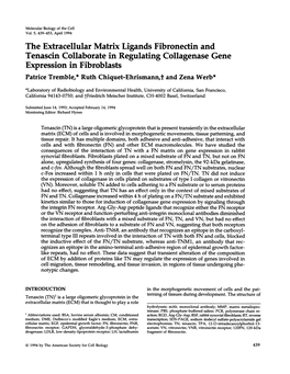 The Extracellular Matrix Ligands Fibronectin