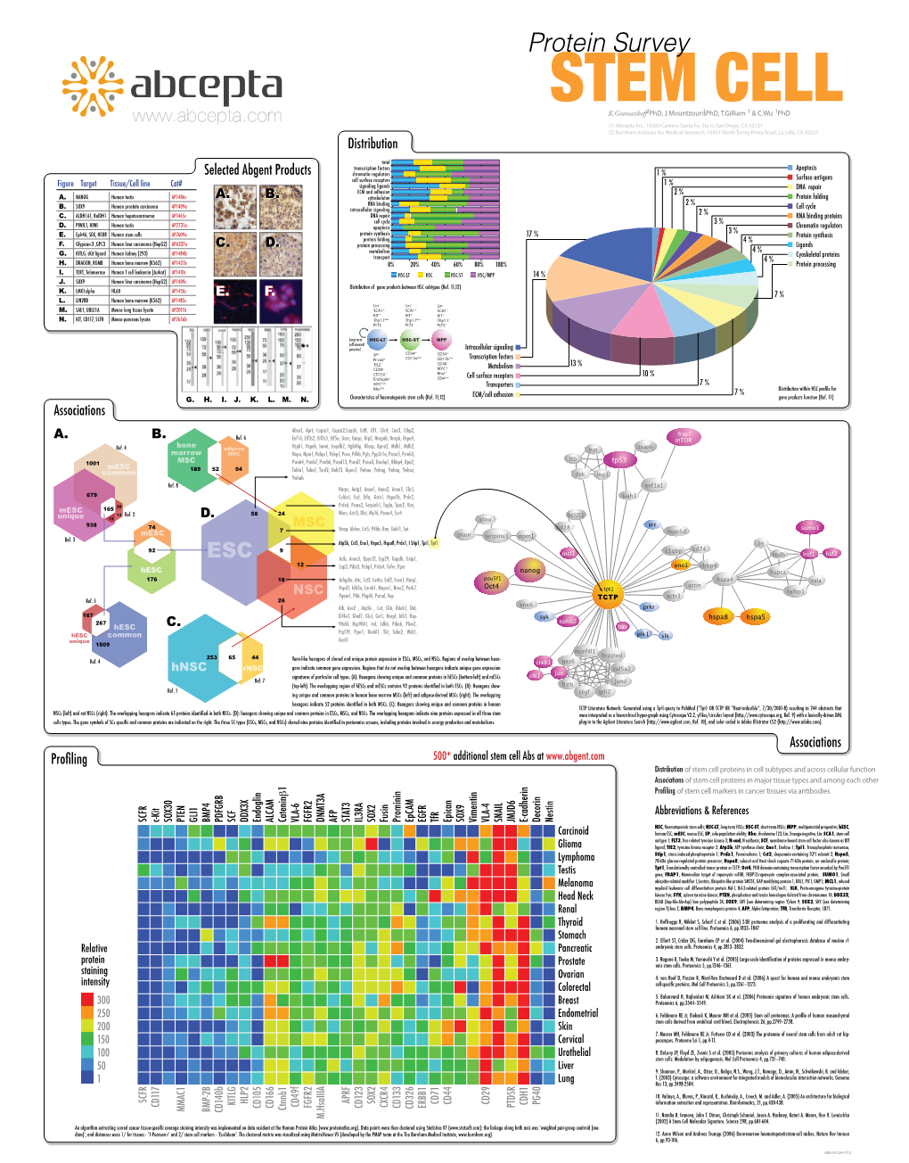 Stem Cells Ap7609a Protein Synthesis 17 % Protein Synthesis Protein Folding 4 % F