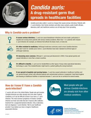 Candida Auris: a Drug-Resistant Germ That Spreads in Healthcare Facilities