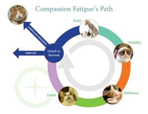 Compassion Fatigue's Path
