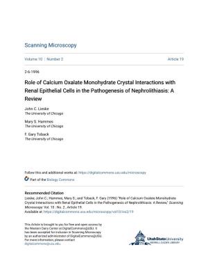 Role of Calcium Oxalate Monohydrate Crystal Interactions with Renal Epithelial Cells in the Pathogenesis of Nephrolithiasis: a Review