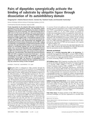 Pairs of Dipeptides Synergistically Activate the Binding of Substrate by Ubiquitin Ligase Through Dissociation of Its Autoinhibitory Domain