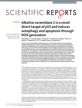 Alkaline Ceramidase 2 Is a Novel Direct Target of P53 and Induces Autophagy and Apoptosis Through ROS Generation