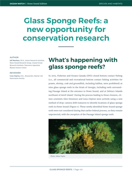 Glass Sponge Reefs: a New Opportunity for Conservation Research