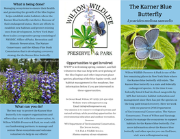 Karner Blue Butterfly Trifold