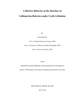 Collective Behavior at the Interface of Lithium-Ion Batteries Under Cyclic