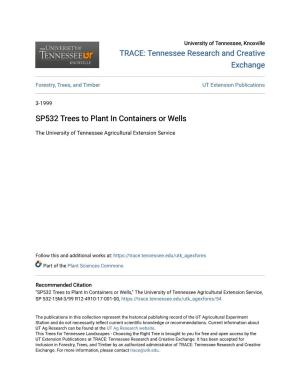 SP532 Trees to Plant in Containers Or Wells