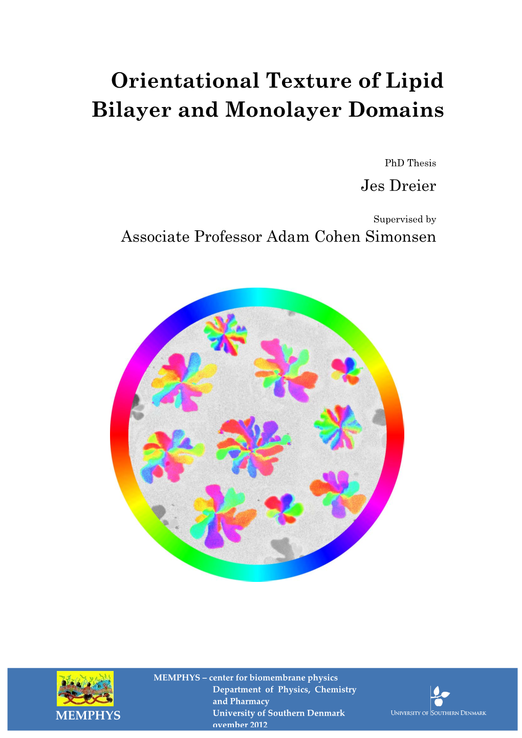 Orientational Texture of Lipid Bilayer and Monolayer Domains